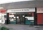 Acupuncture & Herbs - London