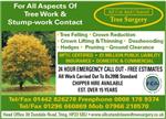 All Cut And Cleared Tree Surgery - Tring