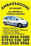 Ambassadors Of Bushey - Bushey