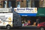 Animal Magic - Margate