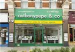 Anthony Pepe & Co - London