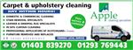 Apple Cleaning Specialists - Bognor Regis