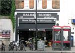 Balham Blooms - London