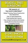 Beadell Tree Surgeons - Crawley