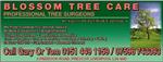 Blossom Tree Care - Prescot