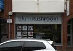 Blue Mushroom - London