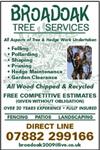 Broadoak Tree Services - Maidstone