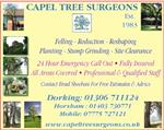 Capel Tree Surgeons - Horsham