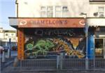 Chameleons - London