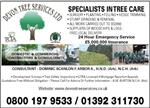 Devon Tree Services Ltd - Newton Abbot