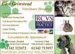 East Grinstead Veterinary Hospital - East Grinstead