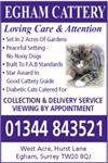 Egham Boarding Cattery Ltd