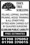 Essex Tree Surgeons - Romford