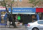 Fin King Aquatics - London