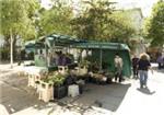 Flower Stall - London