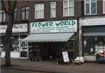 Flower World - London