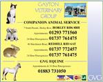 Gayton Veterinary Group - Redhill