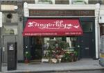 Gingerlily - London