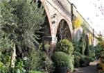 Ginkgo Garden Centre At Ravenscourt Park - London