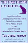 Hawthorn Cat Hotel - Horley