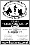 Heath Veterinary Group - Cardiff