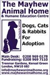 Mayhew Animal Home - London