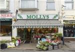 Mollys Florist - London