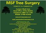 MSF Tree Surgery - Telford