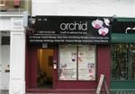 Orchid - London