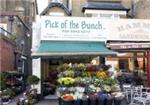 Pick Of The Bunch - London