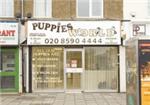 Puppies World - London