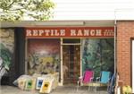 Reptile Ranch - London