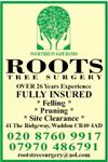 Roots Tree Surgery - Croydon