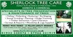 Sherlock Tree Care & Landscape Construction - Woking