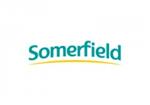 Somerfield - London