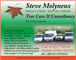 Steve Molyneux Tree Care & Consultancy - Hastings