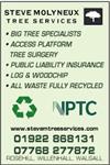 Steve Molyneux Tree Services - Walsall