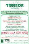 Treebor Tree Services - Runcorn