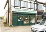 Veterinary Surgery - London