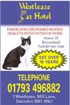 Westleaze Cat Hotel Ltd - Swindon