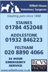 Willett House Veterinary Surgeons - Staines